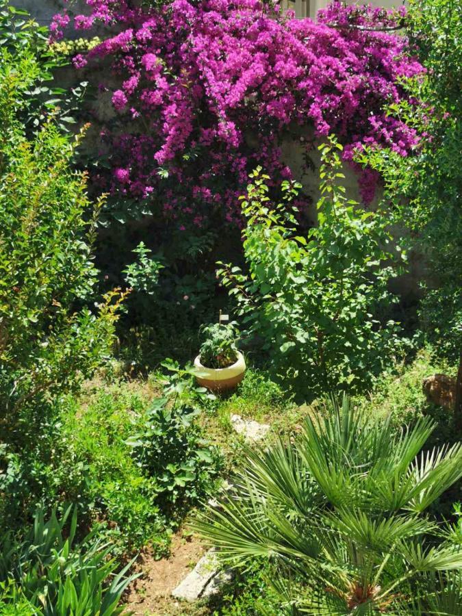 Villa Luka Dubrovnik Eksteriør bilde